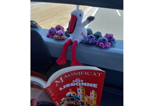 Les aventures de Storky du 26 au 31 juillet 2023